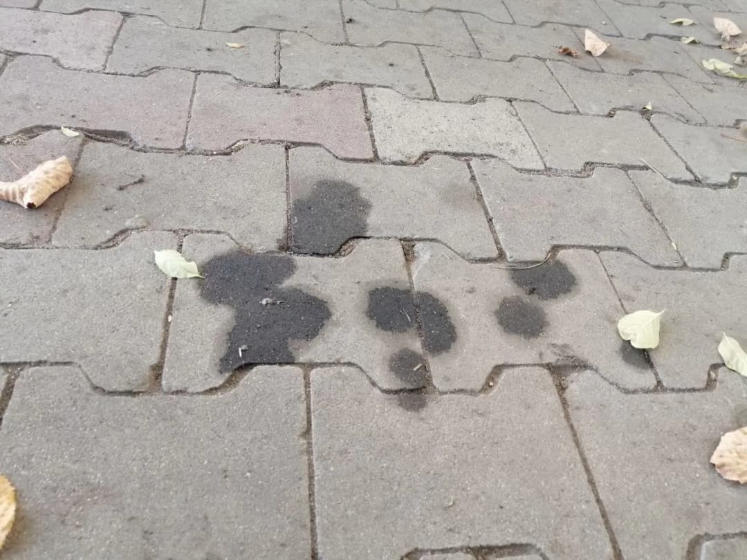 Skuteczne sposoby na usunięcie tłustych plam z kostki brukowej