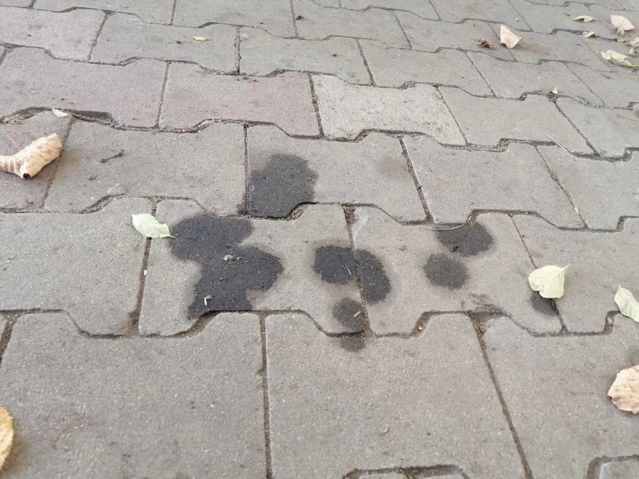 Skuteczne sposoby na usunięcie tłustych plam z kostki brukowej