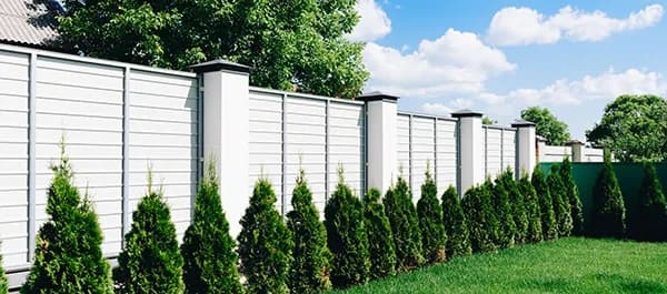 Czym zasłonić ogrodzenie panelowe, by zyskać prywatność i styl?